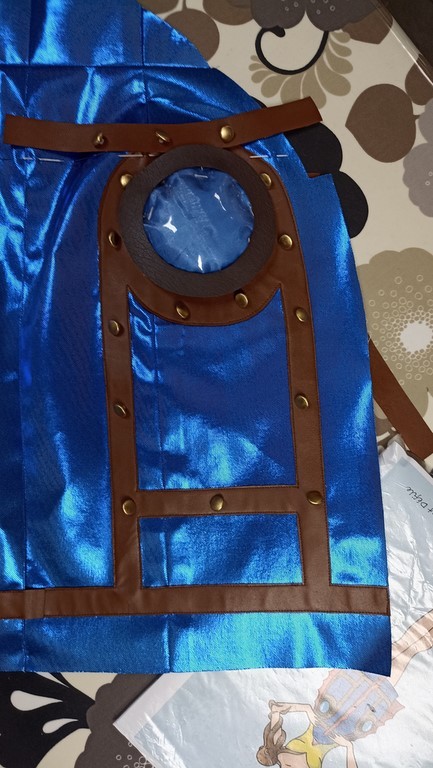 Atelier Le Chat Défile Beauvais 60