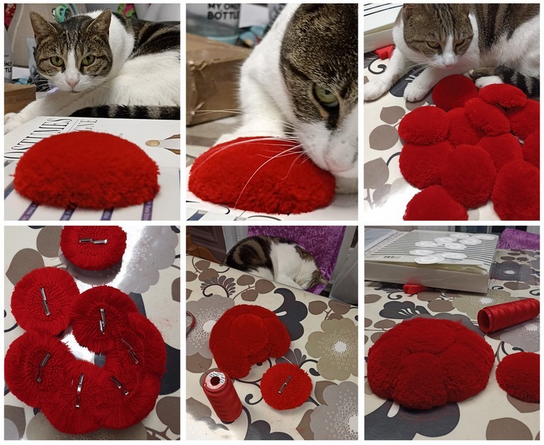 Pompon Costume Régional Miss France Le Chat Défile