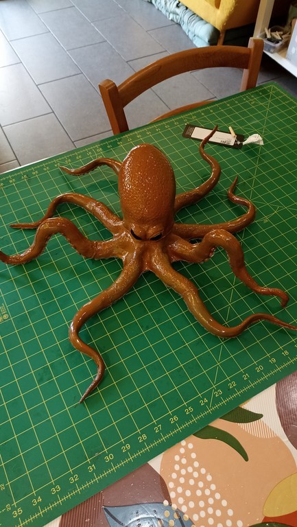 Atelier Le Chat Défile Beauvais 60