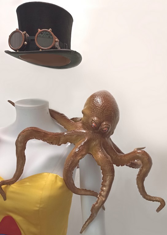 Le Poulpe Miss France Costume Régional