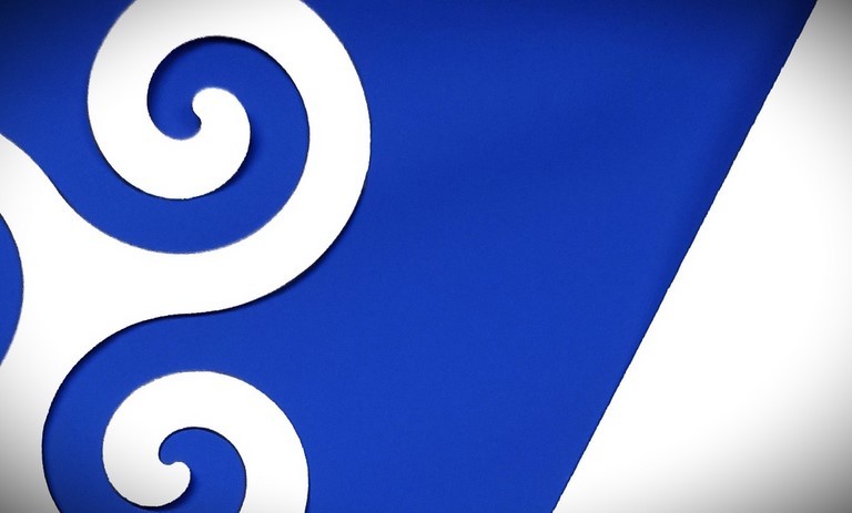 Triskel Le Chat Défile Miss France